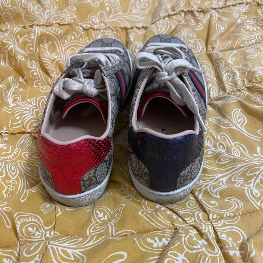 Authentic Gucci sneakers size 9 from Nordstroms  the soles are worn (see pics) - Picture 7 of 13
